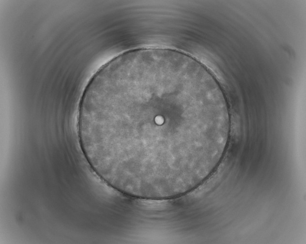 X0000114590856200911091255