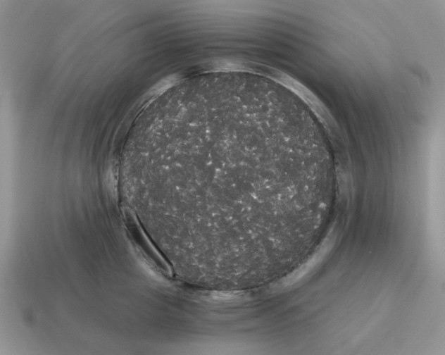 X0000114590857200911091255