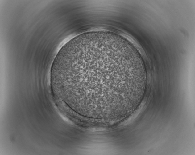 X0000114590858200911091255