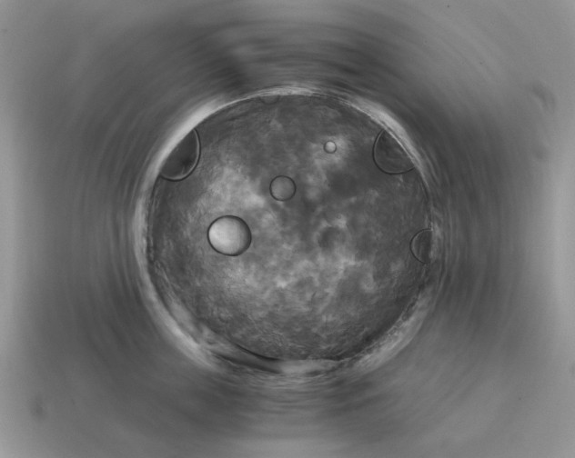 X0000114590859200911091255