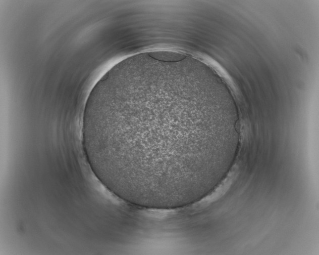 X0000114590860200911091255