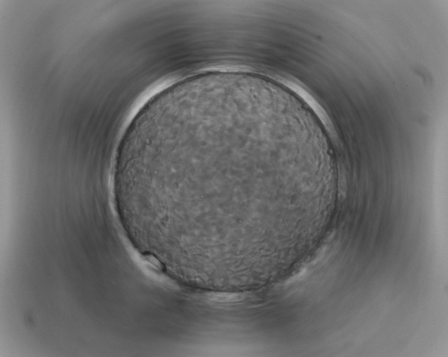 X0000114590861200911091255