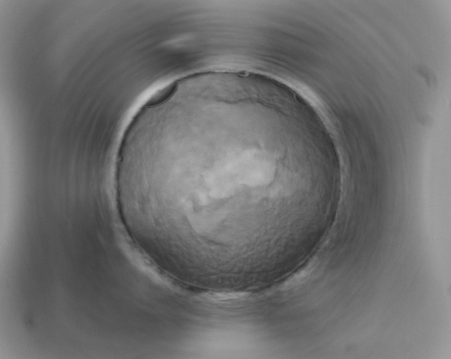 X0000114590864200911091255