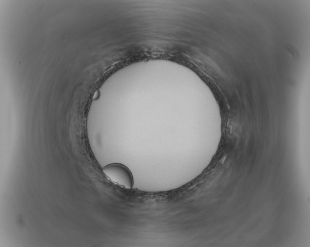 X0000114590865200911091255