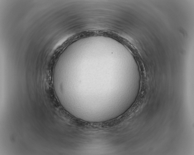 X0000114590871200911091254