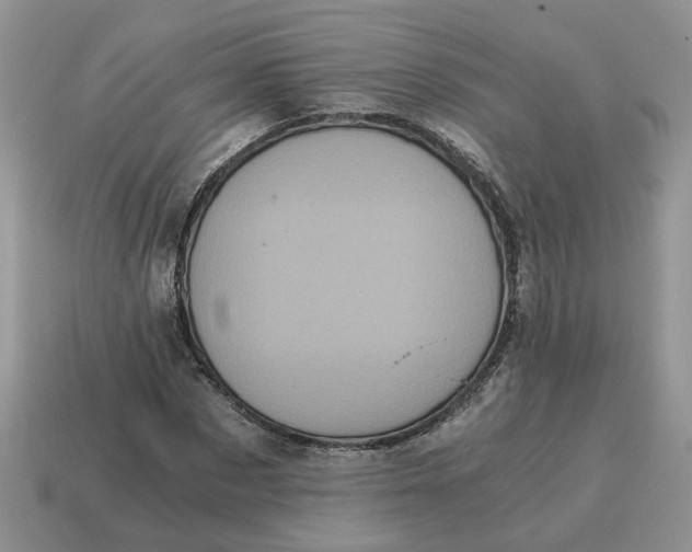 X0000114590873200911091254