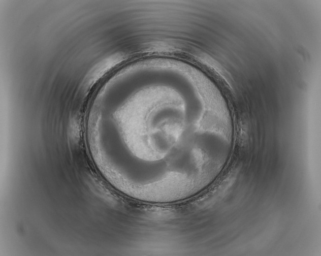 X0000114590874200911091254