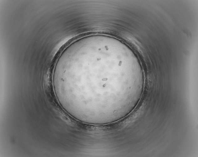 X0000114590875200911091254