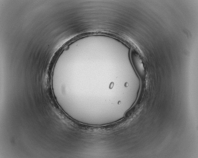 X0000114590876200911091254