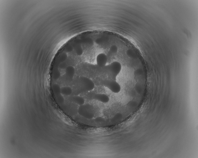 X0000114590879200911091254