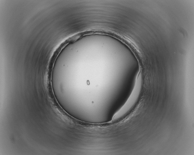 X0000114590880200911091254