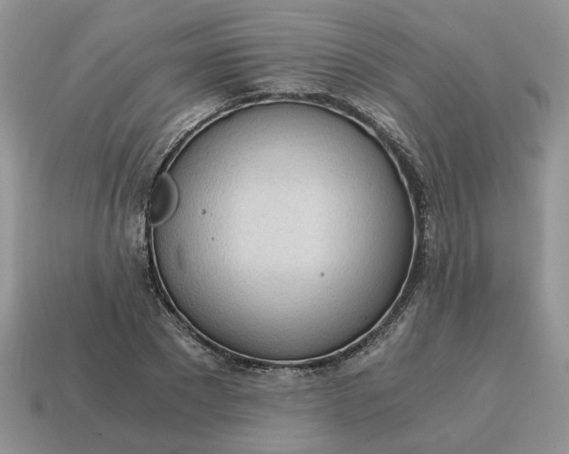 X0000114590881200911091254