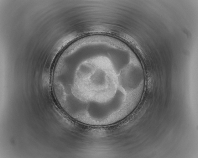 X0000114590882200911091254