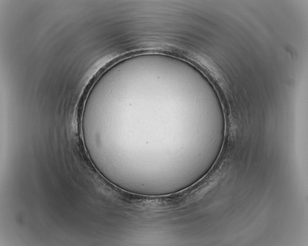 X0000114590883200911091254