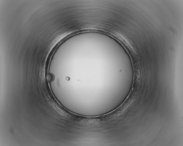 X0000114590884200911091254