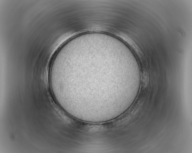 X0000114590886200911091254