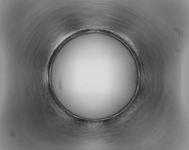 X0000114590887200911091254