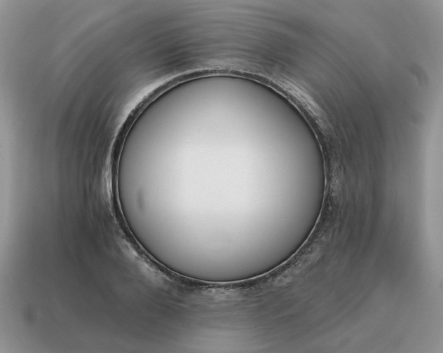 X0000114590888200911091254