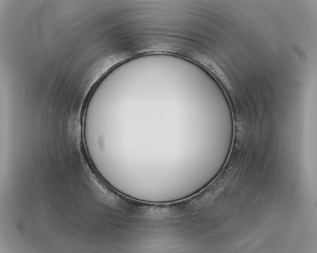 X0000114590890200911091254