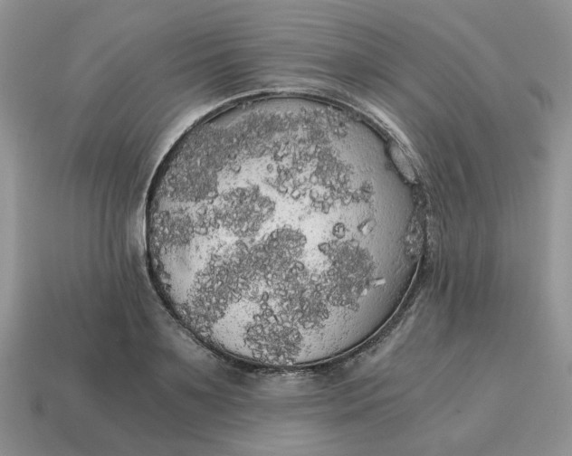 X0000114590891200911091254