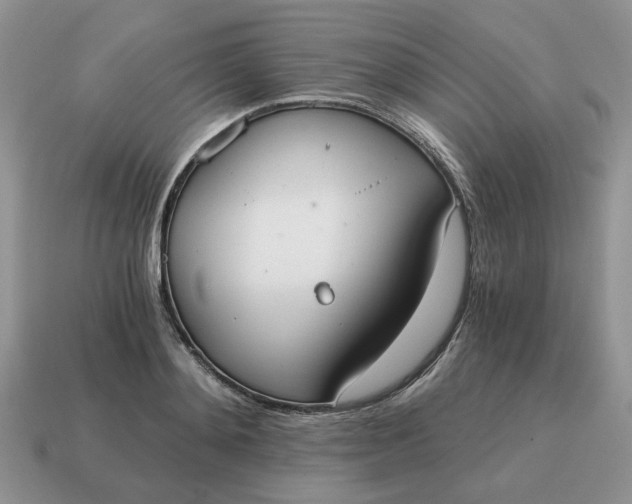 X0000114590892200911091254