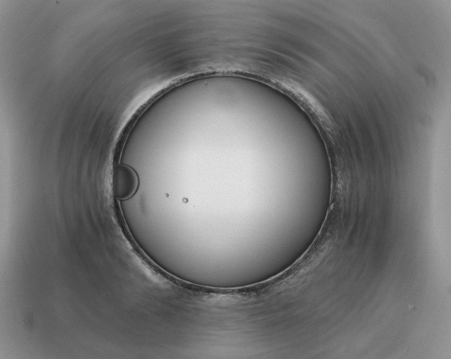 X0000114590894200911091254