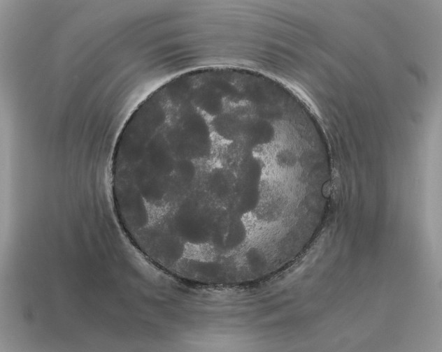 X0000114590895200911091254