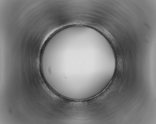 X0000114590896200911091254