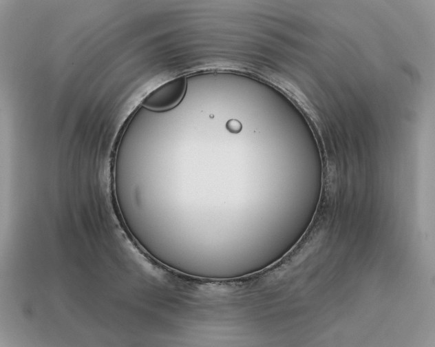 X0000114590898200911091254