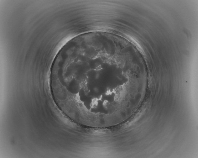 X0000114590899200911091254