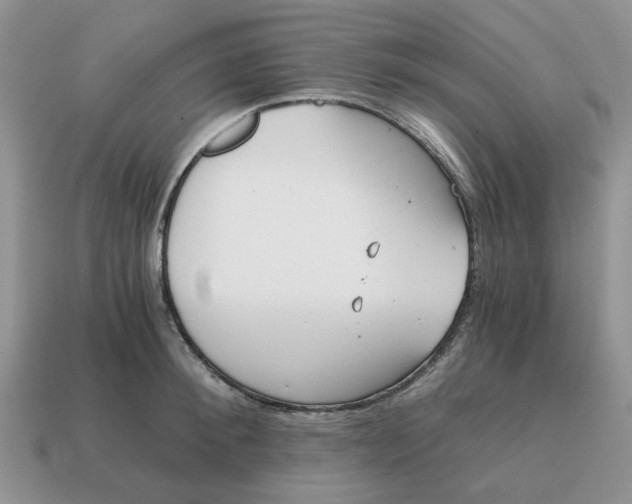 X0000114590900200911091254