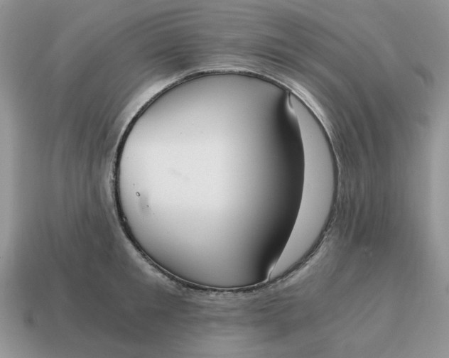 X0000114590901200911091254