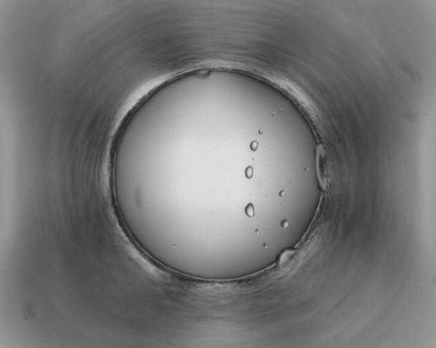 X0000114590902200911091254