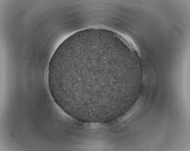 X0000114590903200911091254