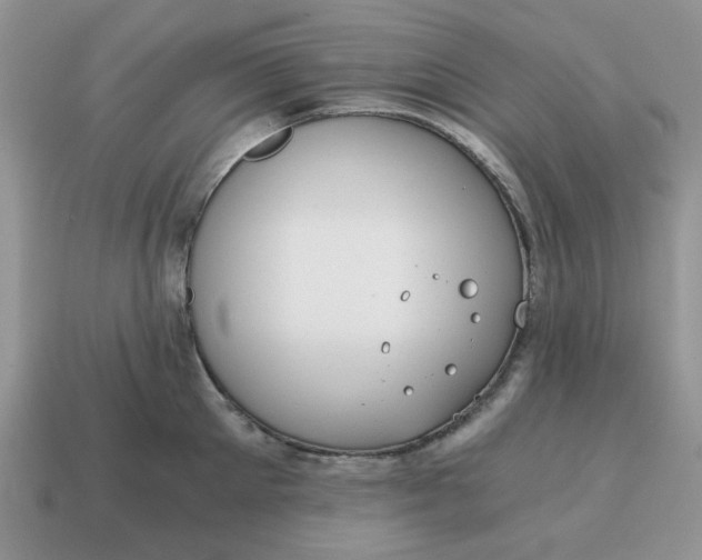 X0000114590905200911091254