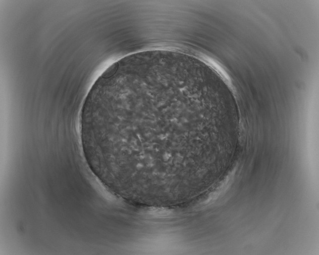 X0000114590907200911091254