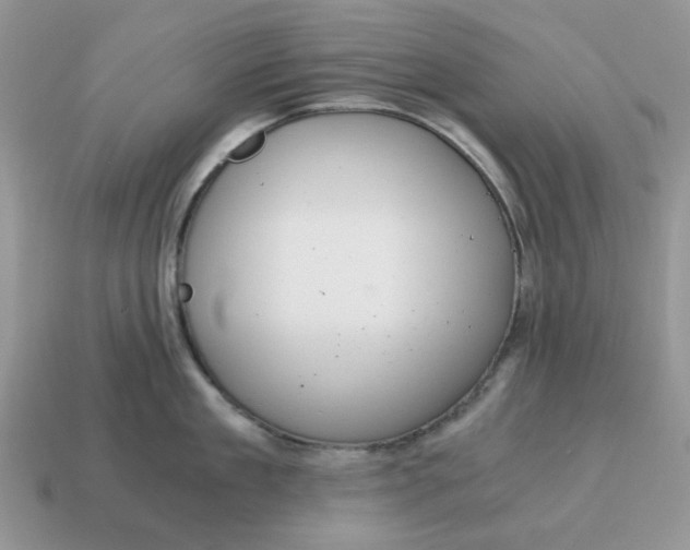 X0000114590909200911091254