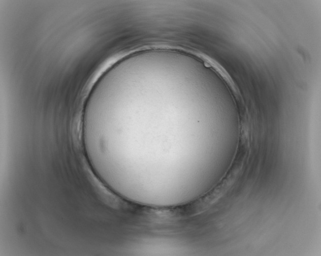 X0000114590911200911091254