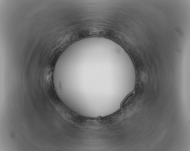 X0000114590914200911091253