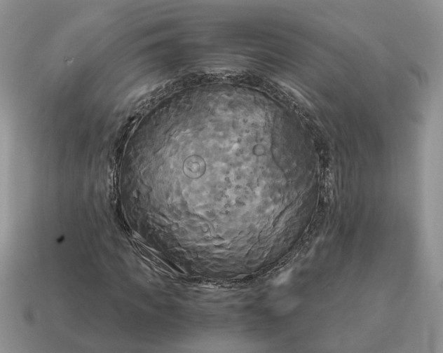 X0000114590917200911091253