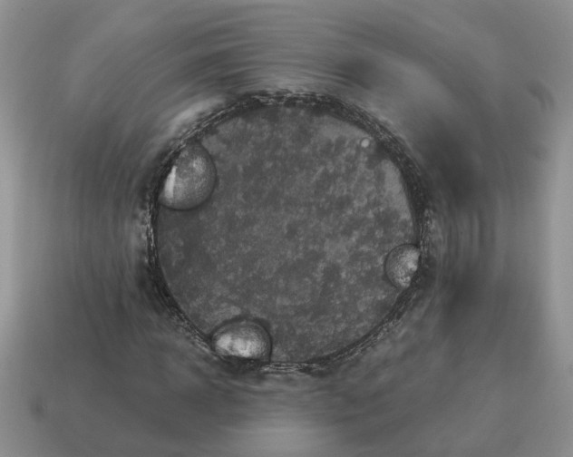 X0000114590918200911091253