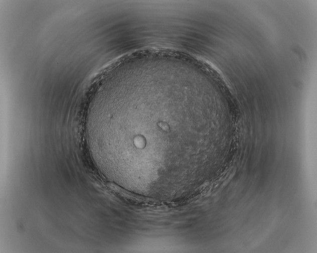 X0000114590919200911091253