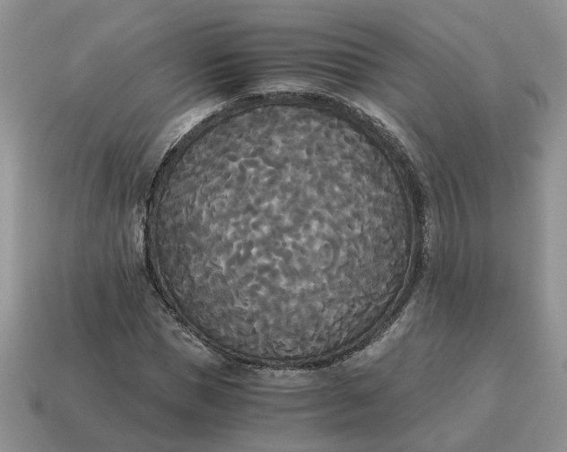 X0000114590921200911091253