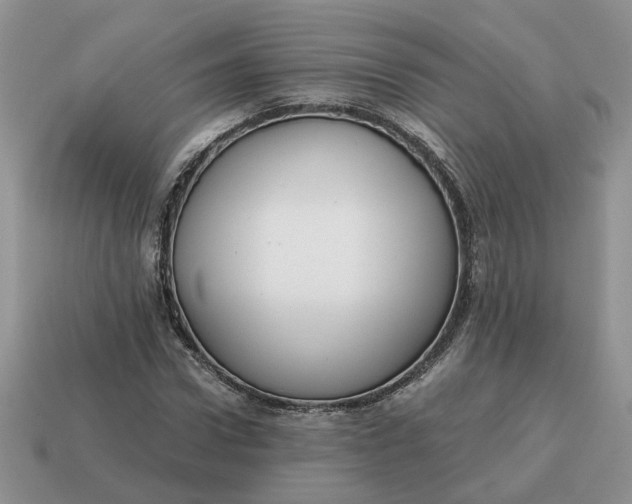 X0000114590922200911091253