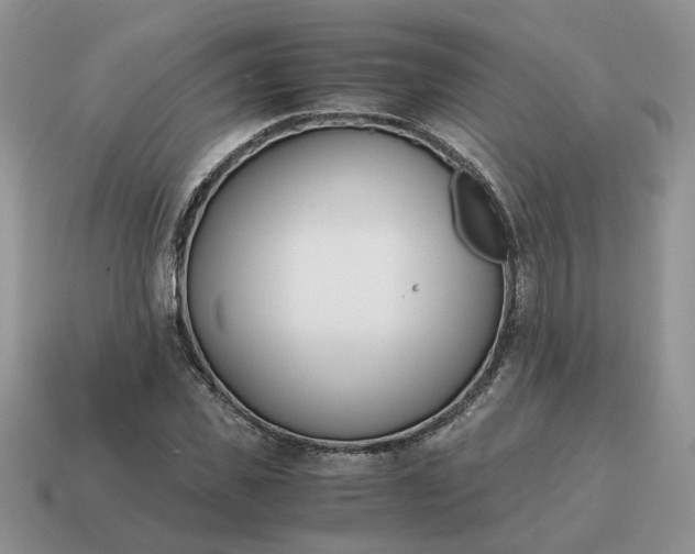 X0000114590925200911091253