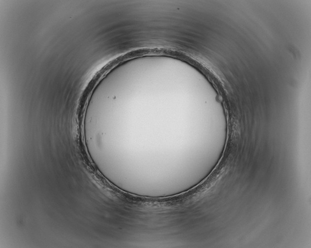 X0000114590927200911091254