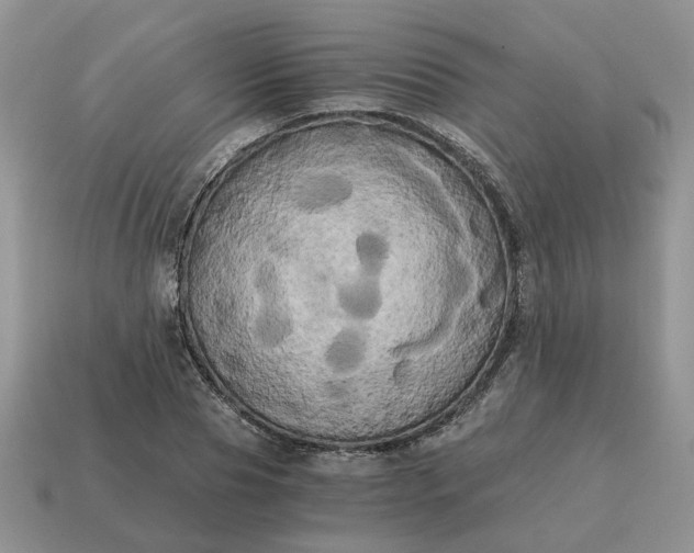 X0000114590929200911091254