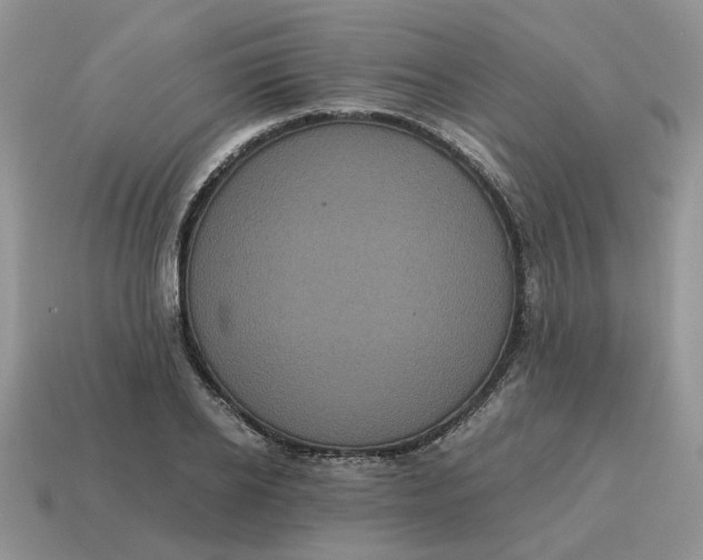 X0000114590934200911091254