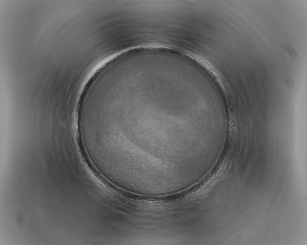 X0000114590935200911091254