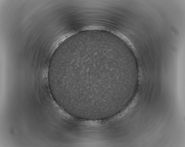 X0000114590937200911091254